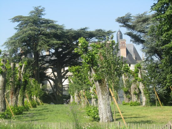 Le Jardin du Château 5